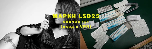 СК Алексин