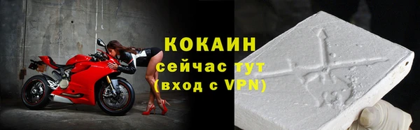 СК Алексин