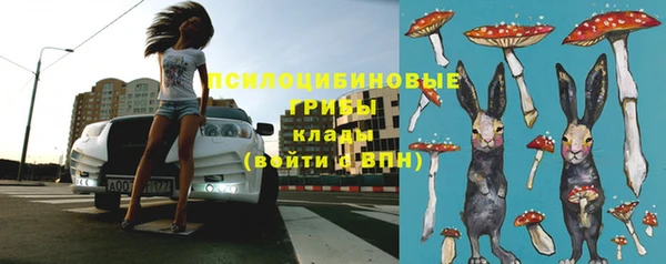 Альфа ПВП Алзамай