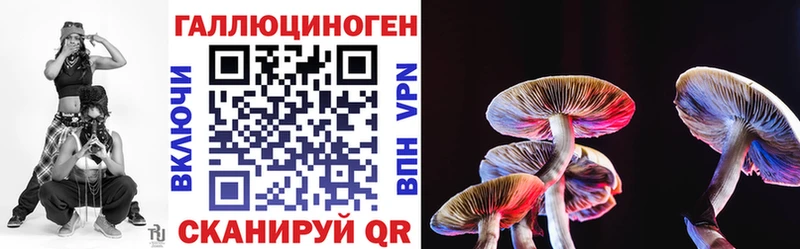 Псилоцибиновые грибы прущие грибы продажа наркотиков blacksprut рабочий сайт Магадан